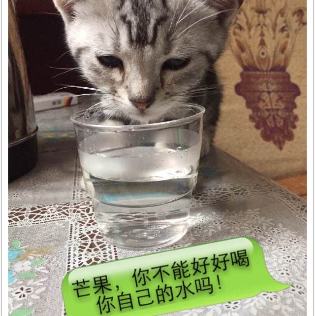 苹果美国账号和密码共享